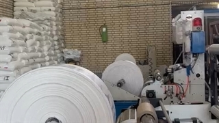 سفره یکبار مصرف ارزان قیمت فیلجون