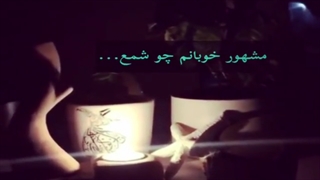 محمدرضا شجریان - مثنوی بیات ترک غم پرست