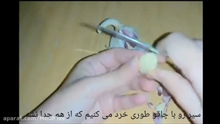 آموزش پرپشت کردن ابرو با مواد طبیعی_ مومیس مرجع و مشاور مو