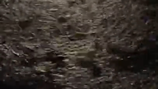 Relaxing Sounds Rain Sounds Short Video