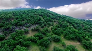 زیبایی دیارزردکوه