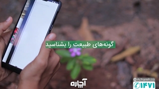 ویژگیهای بینظیر گوگل لنز | آچاره