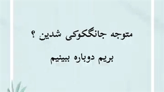 انالیز ویکوک ران 99 کانال kvvk لینک چنلش پایین میزارم