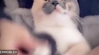 منتظرم باشین عزیزان