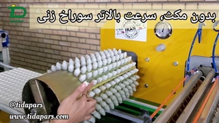 ویژگی های سوراخ زن درامی در سیدر تیداپارس