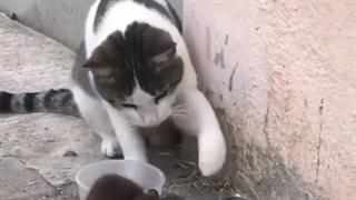 ااینو هنوز خودم ندیدم