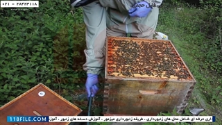 آموزش زنبورداری رایگان- زنبورداری صنعتی-احداث زنبورداری جدید