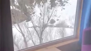 اجاره کلبه چوبی شله دیزین در سایت املاک باشی