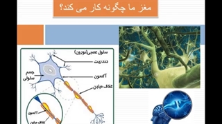 فیلم آموزش nlp