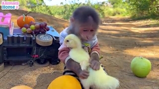 فیلم* Animals Home*قسمت شانزدهم