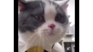 سم آوردم از موتوری گرفتم درجه یک|=