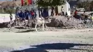 مسابقه خرسواری در روستای دهیچ چهارده روستا