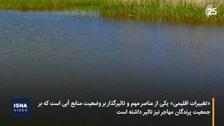 کاهش تعداد پرندگان مهاجر تهران