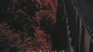 فراموشی وتنهایی