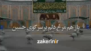 بازهم مرغ دلم پرزده