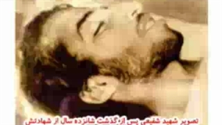 به این عکسها خیره شو