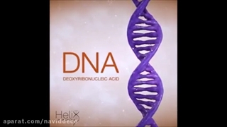 فشرده سازی DNA