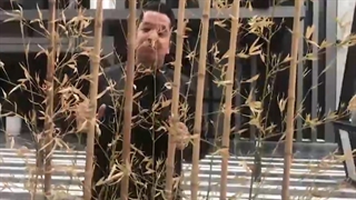 زندانی خودت نباش تل