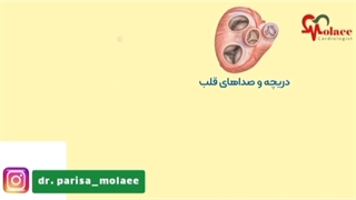 فیلم نحوه کارکرد قلب