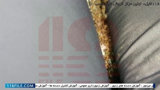 آموزش رایگان زنبورداری-پرورش زنبورداری-اضافه کردن مانع ملکه