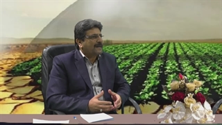 ضرورت تحت پوشش قرار دادن محصولات کشاورزی