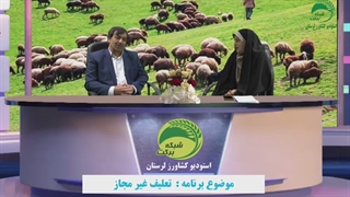 تعلیف غیر مجاز دام از مرتع