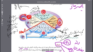 یازدهم-فصل6-ش2