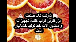 دستگاه خشک کن میوه و سبزی / خشک کن میگو و ماهی