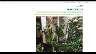 درختچه کاج مصنوعی بنسای