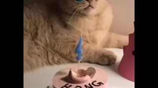 تقدیم به رفیق بهمن ماهیم. تولدت مبارک :)