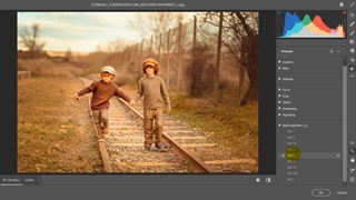 خرید پریست های کمرا راو