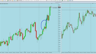 انواع گام و پولبک