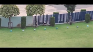 قسمت 9 سریال تایلندی پسران برتر از گل+زیرنویس چسبیده