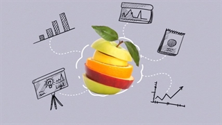 در جست و جوی پرتقال فروش!