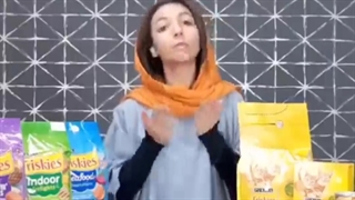 انواع برند غذای گربه