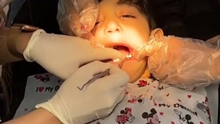 آقا پرهام گل