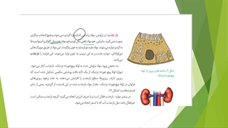 دهم--فصل5-ش7