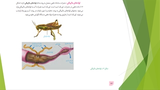 دهم--فصل5-ش11
