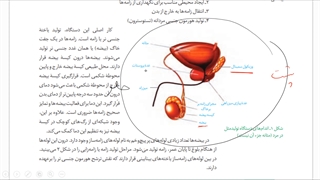 یازدهم-فصل7-ش2