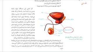 یازدهم-فصل7-ش4