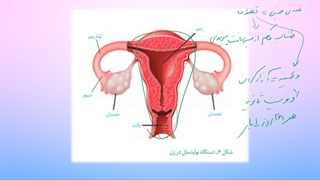 یازدهم-فصل7-ش15