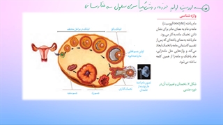 یازدهم-فصل7-ش16