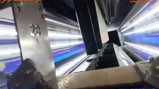 سورت بنه (پسته کوهی)