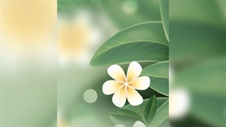 ریتم آمبولانسی