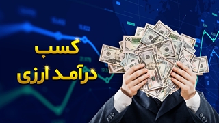 کسب درآمد ارزی
