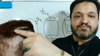 تقسیم بندی پیشرفته سر با بهنام بهنامی ، 09128597931