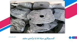 تولید زغال با سرمایه کم