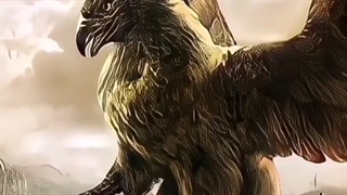 ترانه:کاشکی که توی دنیا مردی دو رنگ نداشتیم