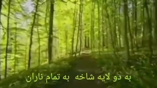 به صدای رود و به کنار جانان / سید عرشی / شعر/ سیدعرشی / طبیعت