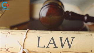 چرا سیتیزن شو؟ انجام امور مهاجرتی با وکیل رسمی